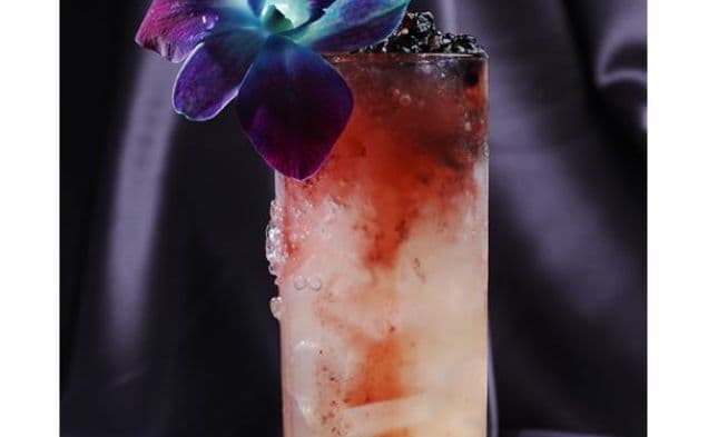 Blackberry Honey Cocktail