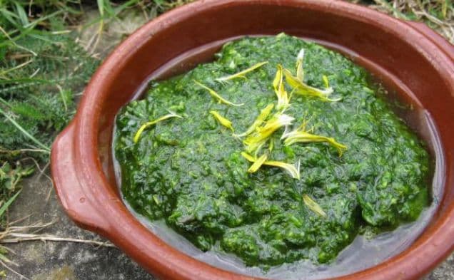Dandelion pesto