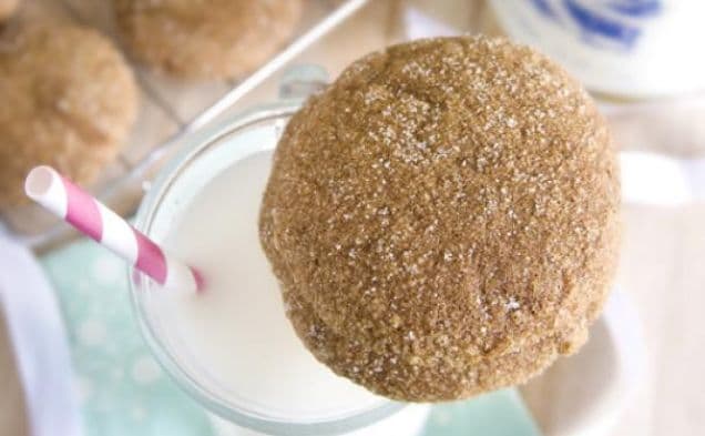Fat Free Gingerbread Cookies