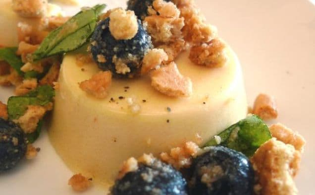 Honey Panna Cotta With Blueberries and Graham Crackers