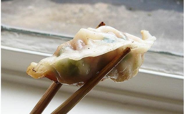 Japanese Gyoza Pot Stickers