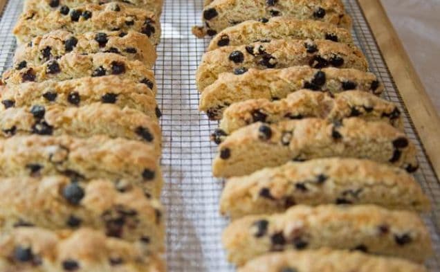 Meyer Lemon Biscotti with Dried Wild Blueberries