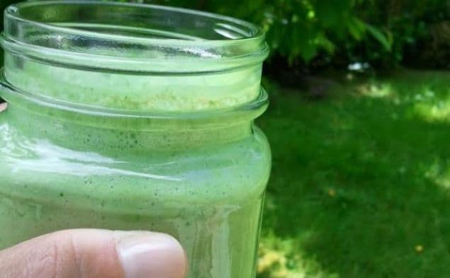 Skinny Green Monster Smoothie
